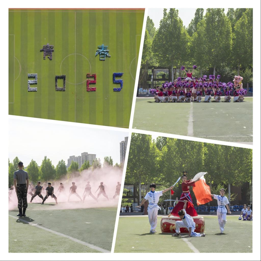 image7.png